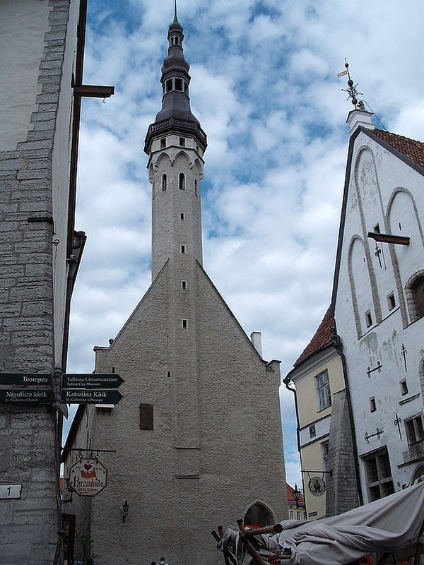 The Town Hall - Tallinn