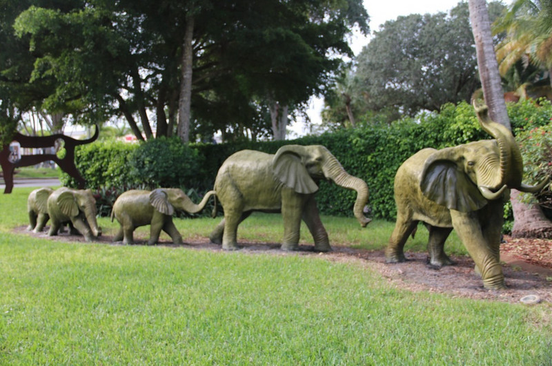 A family of elephants outside BW, Naples, FL