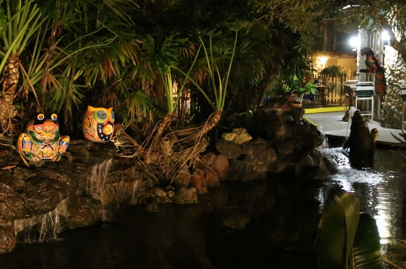 An illuminated pond at the Best Western, Naples