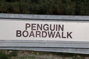 For penguins only??