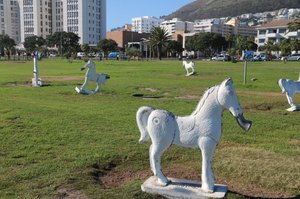 The White Horse white horses of Cape Town