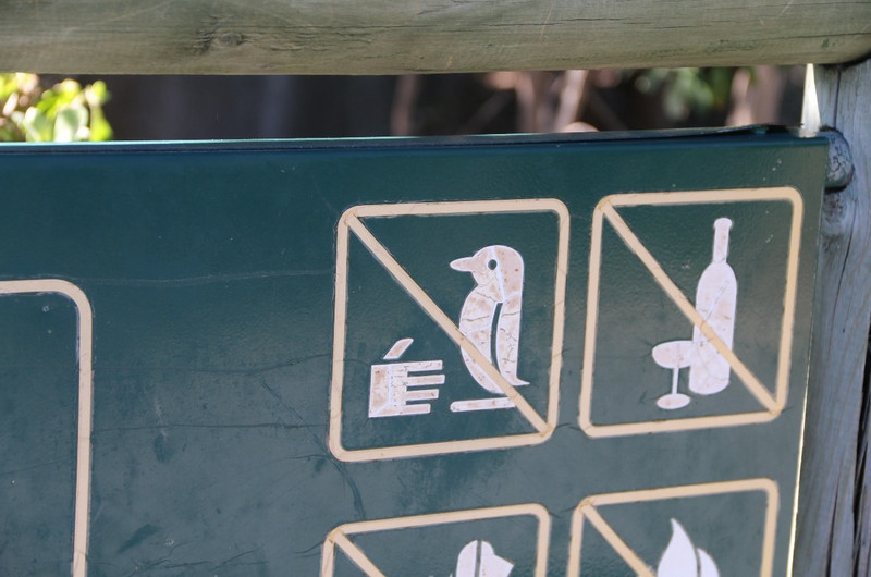 No shaking hands with penguins!!