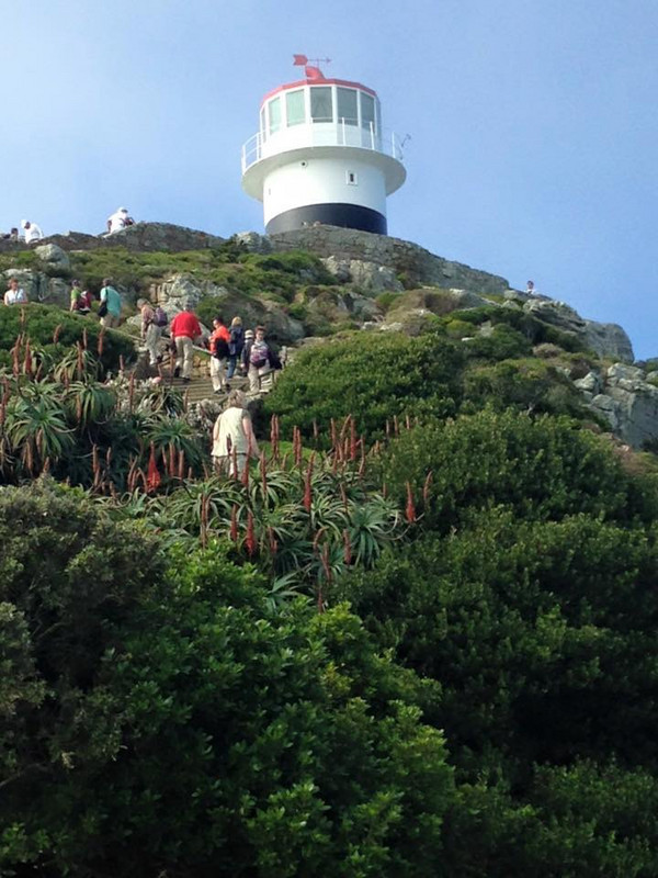Walk to the lighthouse at Cape Point