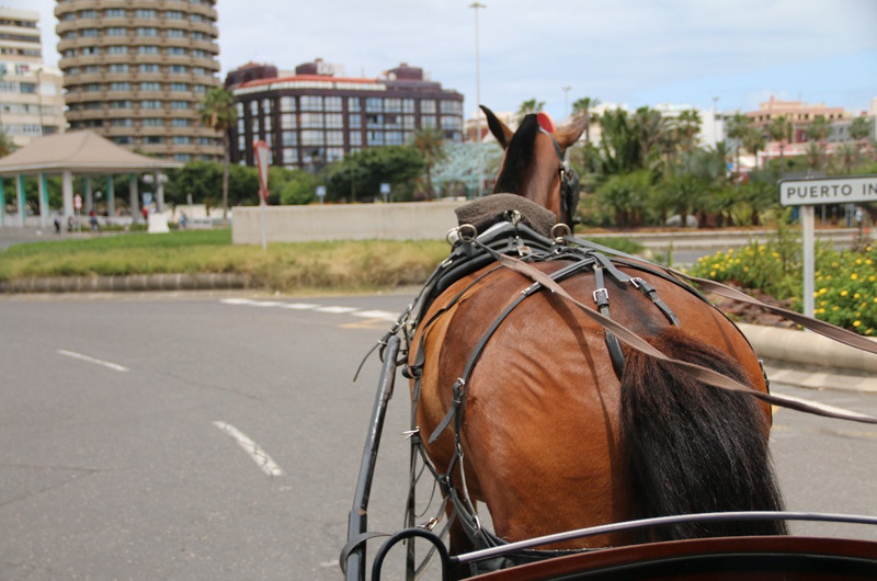 On the road with horse and cart!