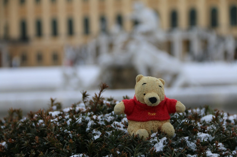 Pooh freezing in Schonbrunn