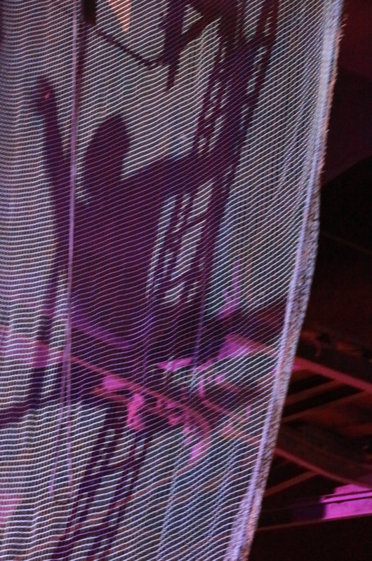 Shadow of the trapeze artiste