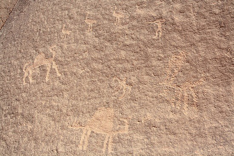 Camel-way code. Marking the way. Wadi Rhum