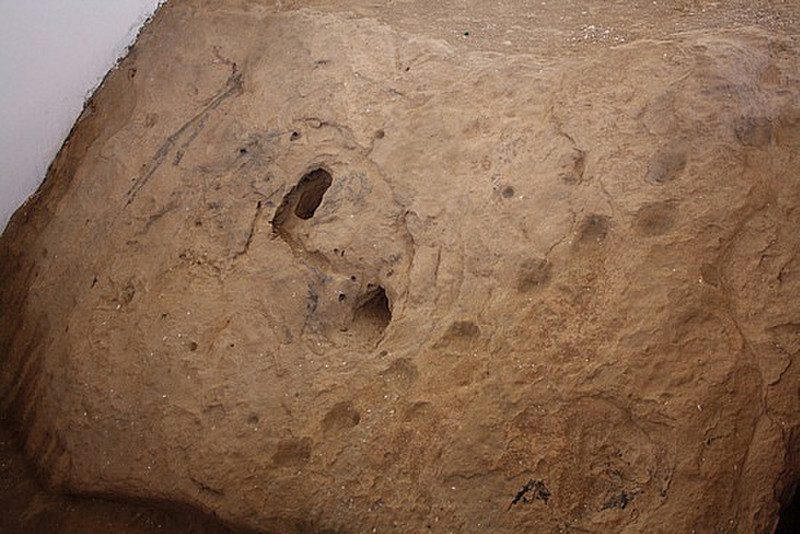 The Camels footprints, Salalah