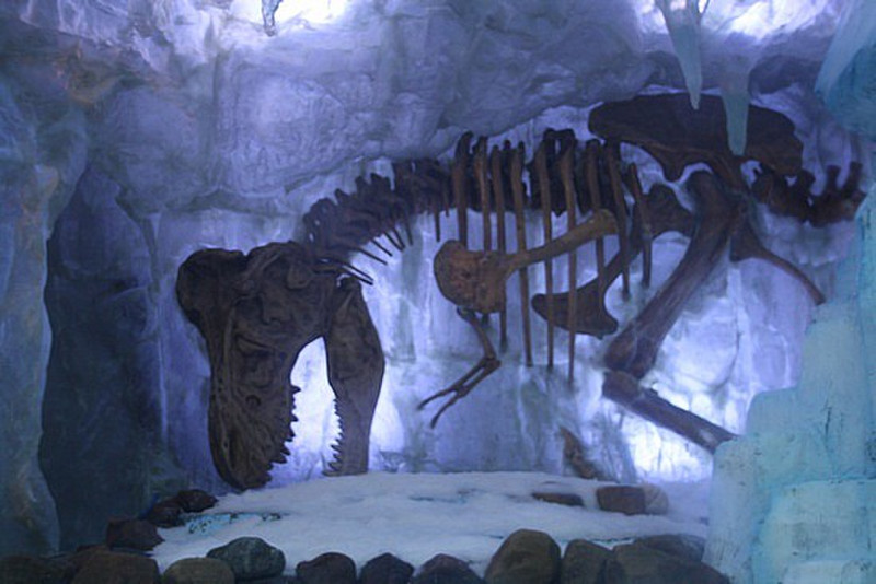 Dino in the ice - Dubai aquarium zoo