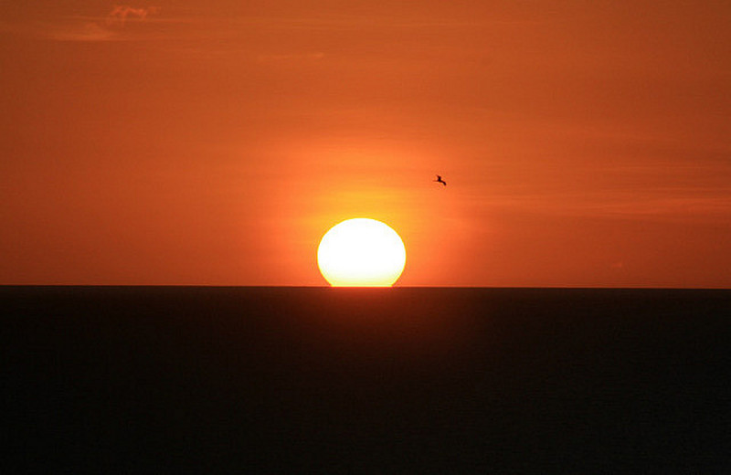 Sunset across Aruba!