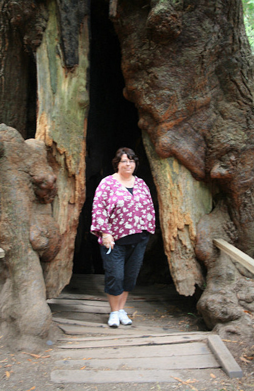 Roisin beside hollow Redwood