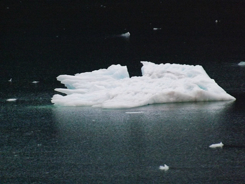 Ice flow from Skua Glacier