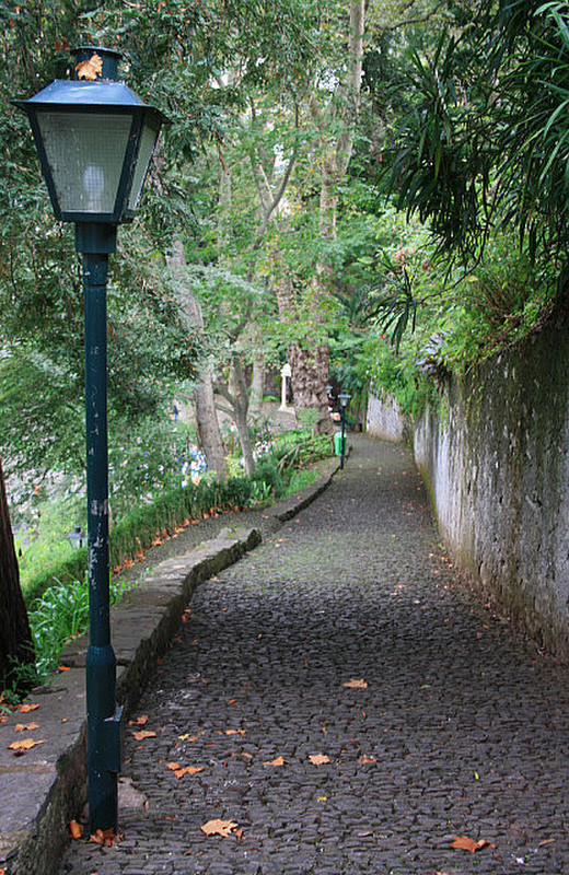 The Tropical gardens, Monte, Madeira
