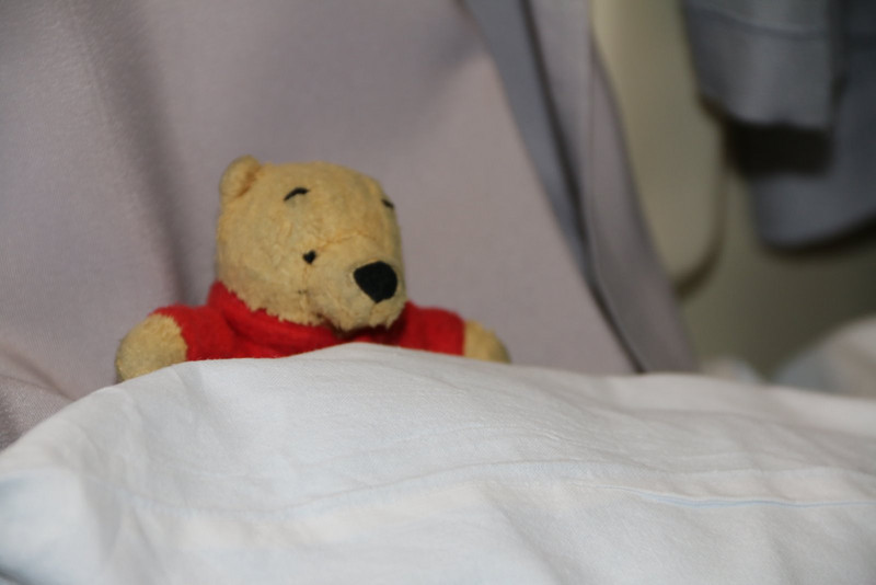 Pooh tucked up for his first night aboard the Trans Siberian