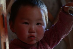 Baby of the Mongolian family