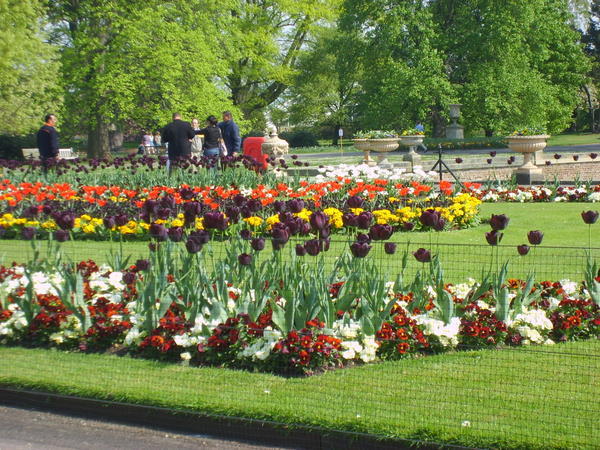 Kew Gardens #1