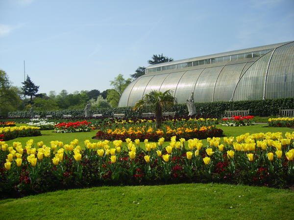 Kew Gardens #4