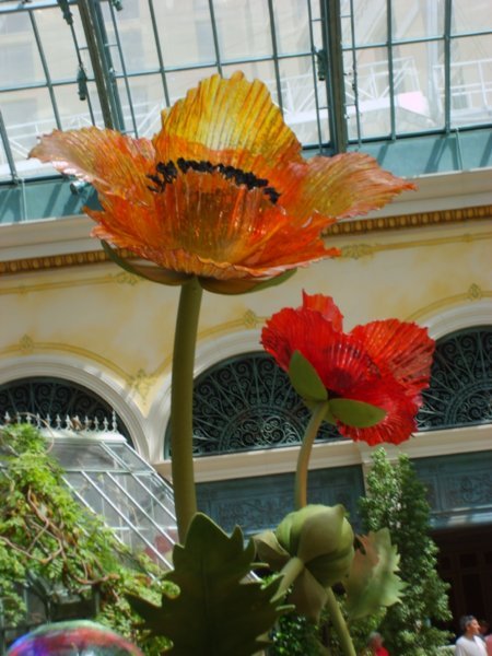 Bellagio 13- glass flowers