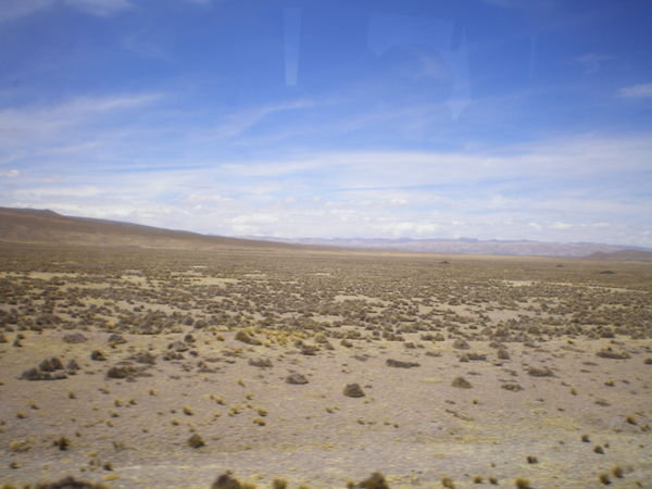 View across the desert plain on the way to the Canyon