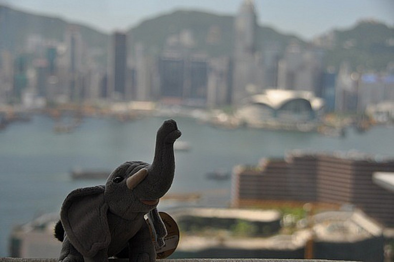Elephant Hong Kong