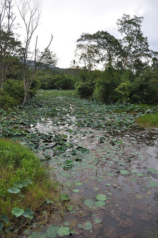 Chambok Pond