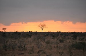 Dusk on Day One at Kruger