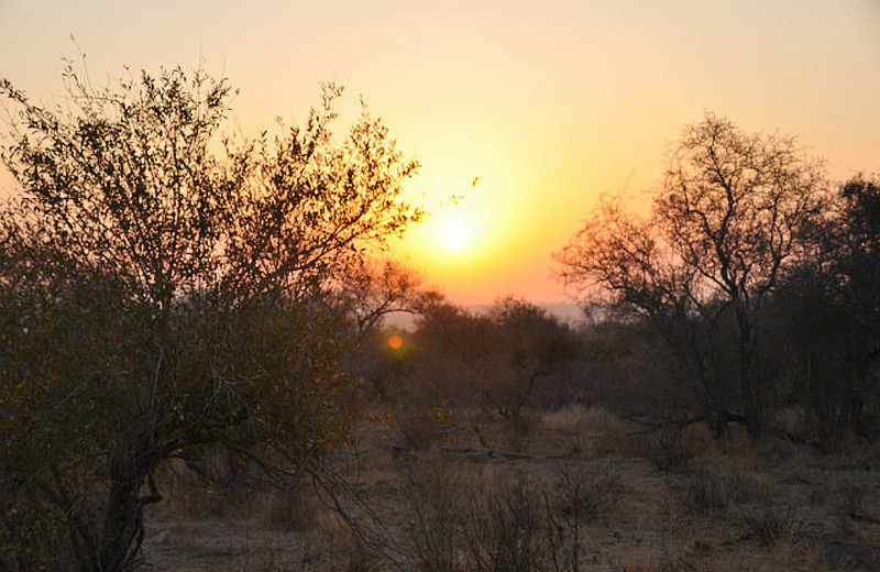 Sunrise in Kruger