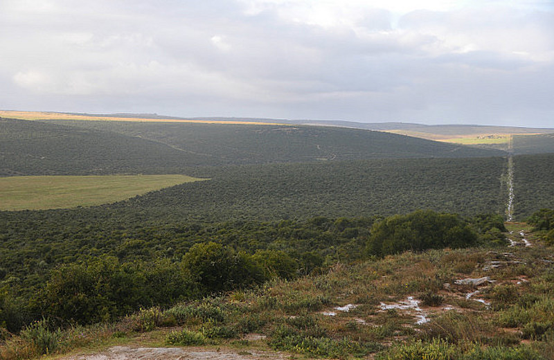Lookout at Addo