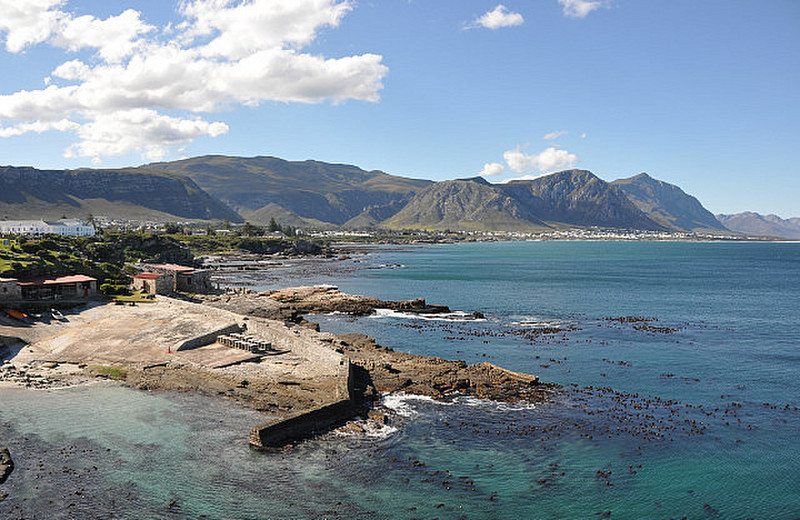 View from Hermanus City Centre