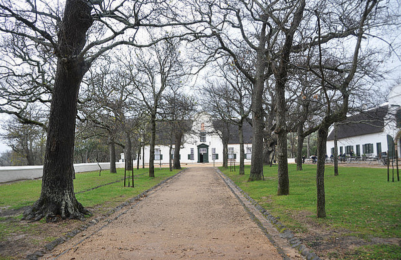 Arrival at Groot Constantia