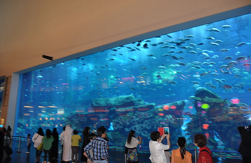 Mall Aquarium