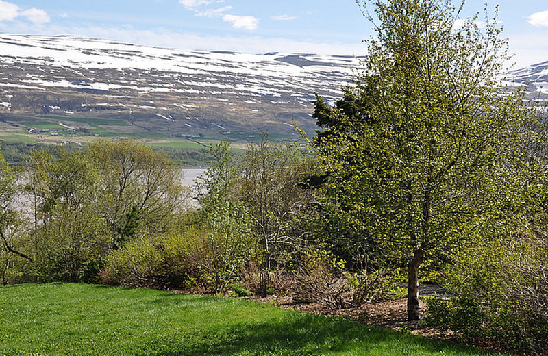 Akureyri Botanical Gardens