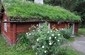 Grass Roof