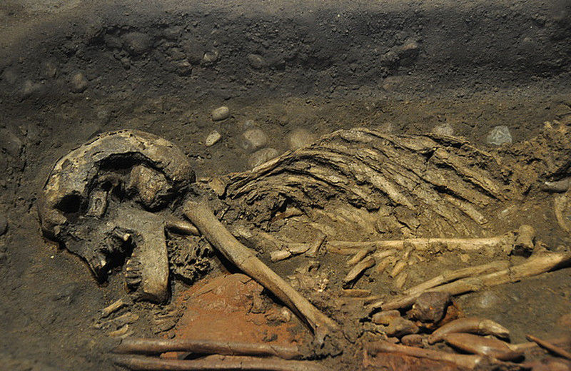 5000 year old skeleton