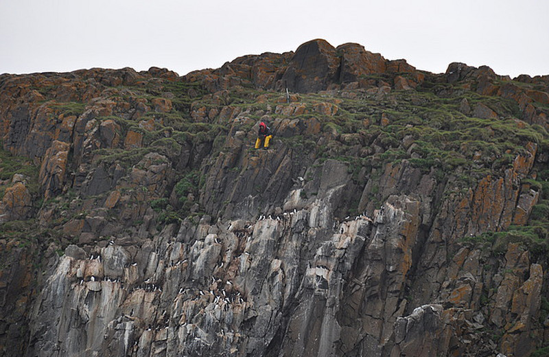 Man on the bird cliffs
