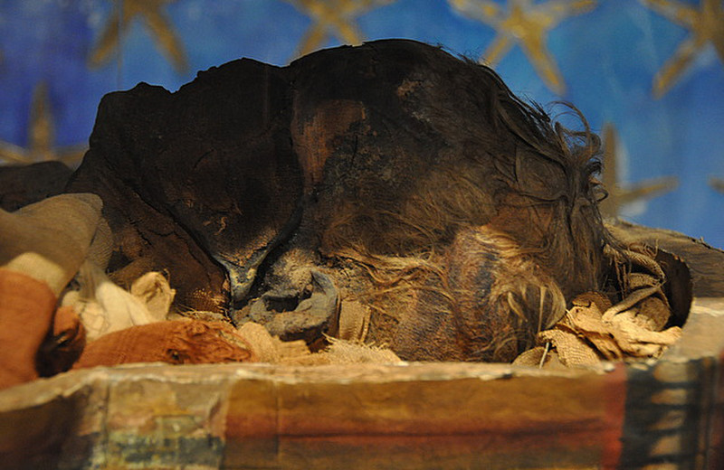 Mummified Head