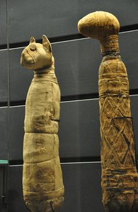 Mummified Cats