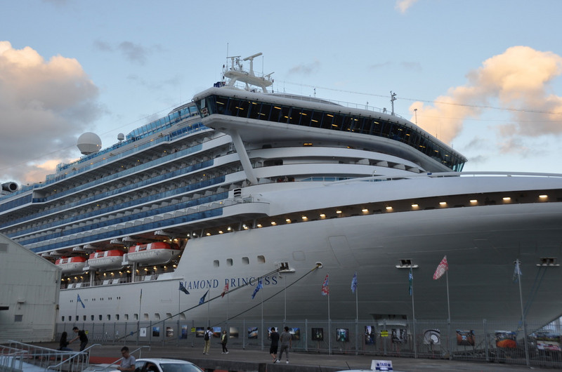 Auckland Cruise Ships