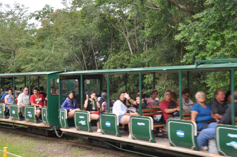 Iguazu Train
