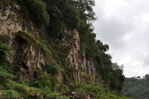 Jungle Cliffs