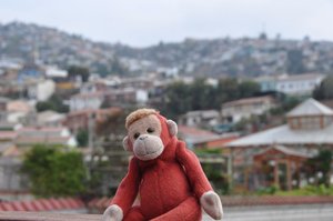 Bling Valparaiso