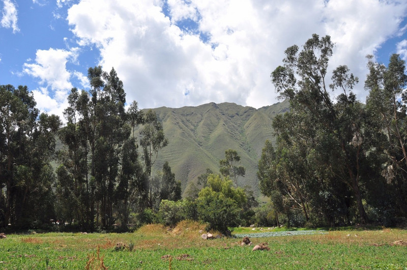 The Sacred Valley