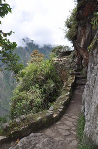 Inca Bridge Track