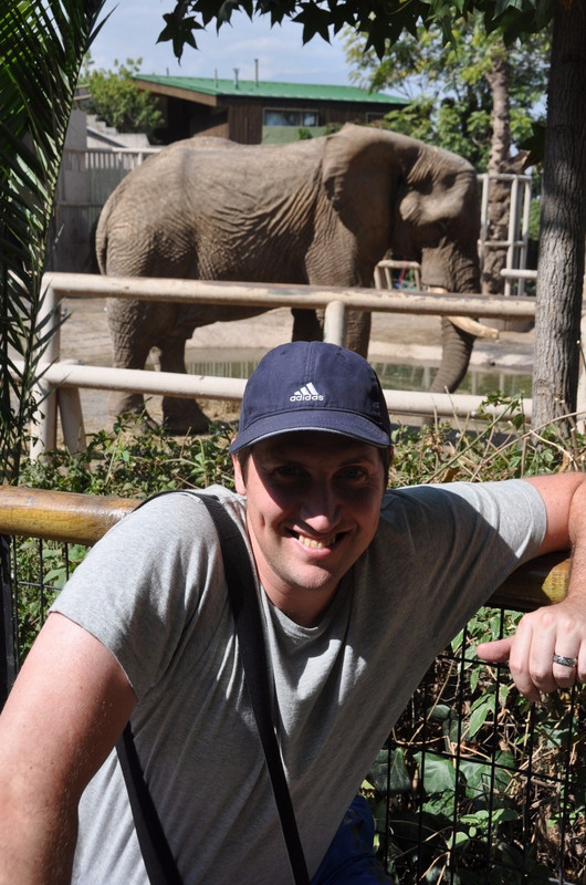 Kris Zoo Elephant