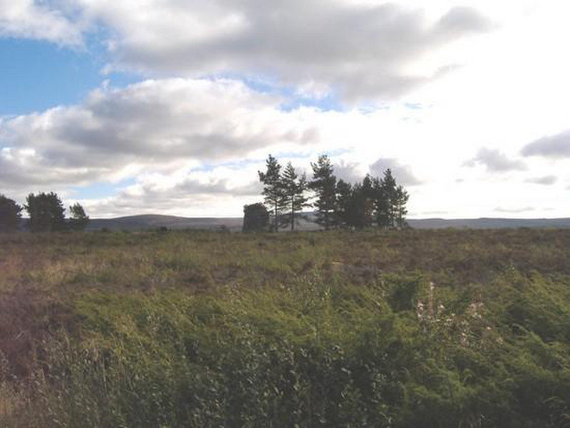 Battlefield Site of Culloden