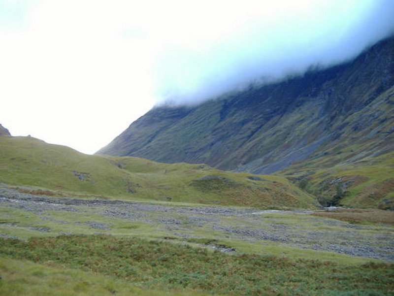 Highlands Mist