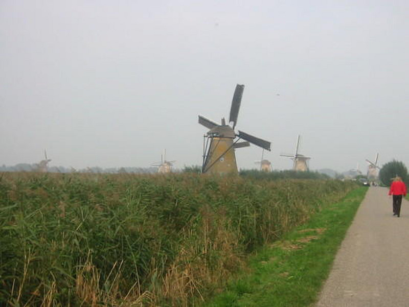 The Kinderdijk 1