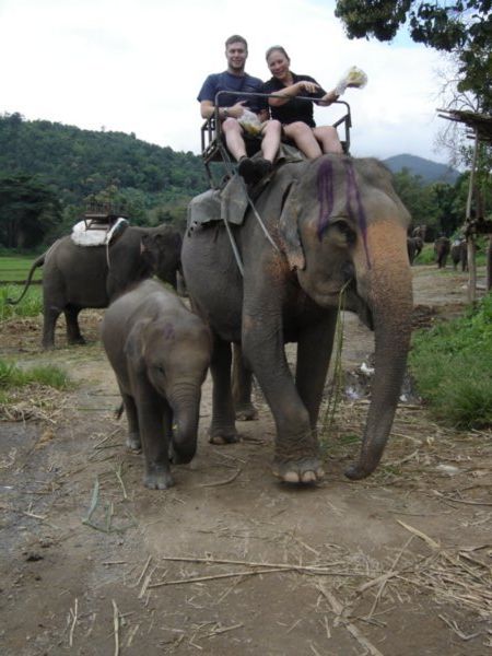 Us on Elephants 2