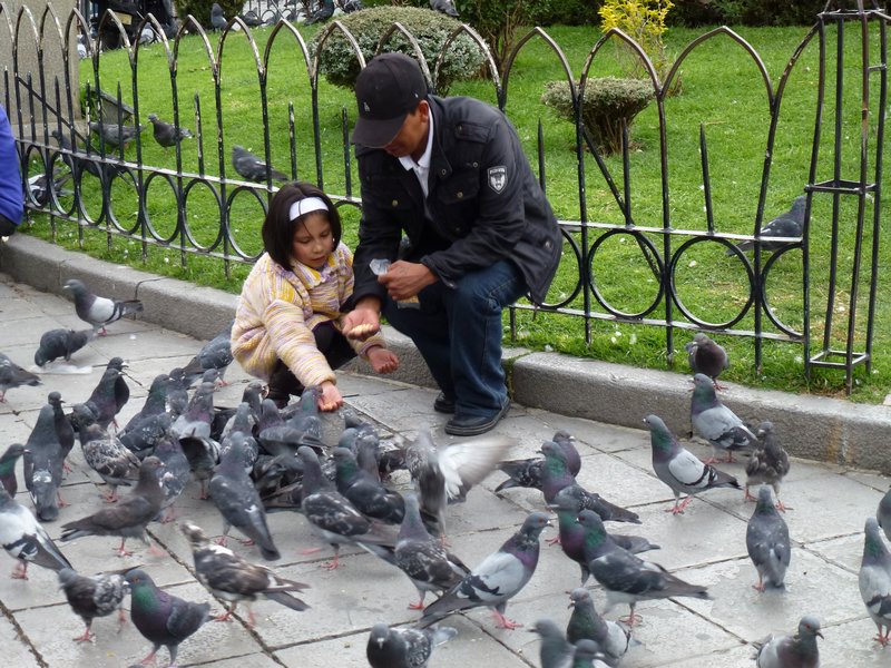 Little girl being devoured by pigeons