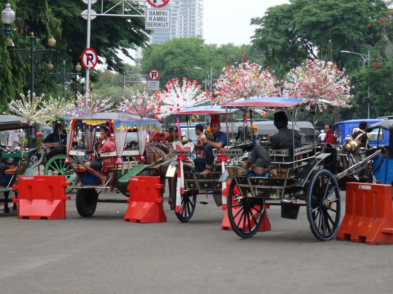 Cavalcade of Rickshaws